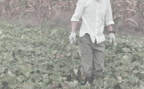 ũ�����ֺ�ͬ���ļ�����ƪ