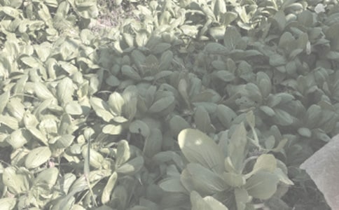 ũ��������ԤԼ������ͬ3ƪ