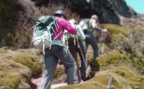 ������ɽ�����