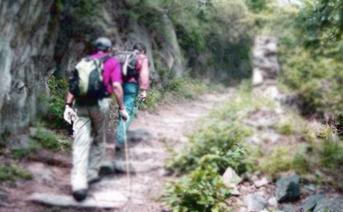 ��ɽ��ȫע������