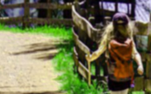 ��ɽ�Ľ̰�(15ƪ)