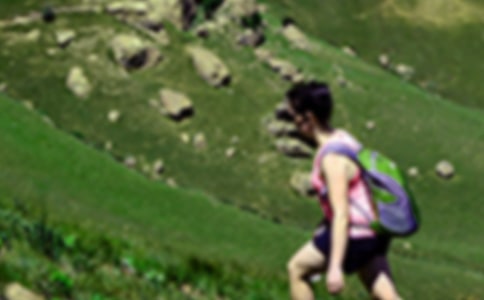 有关爬山教案模板锦集十篇