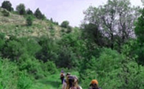 《爬山虎的脚》教案(15篇)