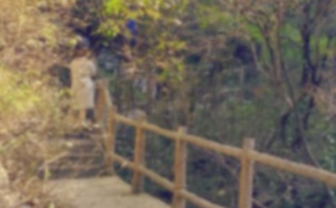 爬山活动方案(汇编15篇)