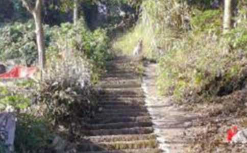 Ա����ɽ��߻�����