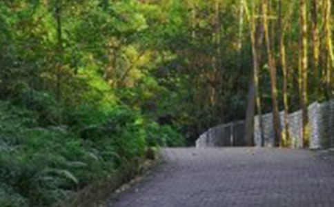 ��ɽ��߻�����