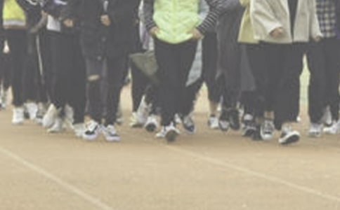 �ܲټ�����