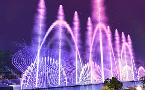 ��ȪСѧ��������Ӧ��Ԥ��