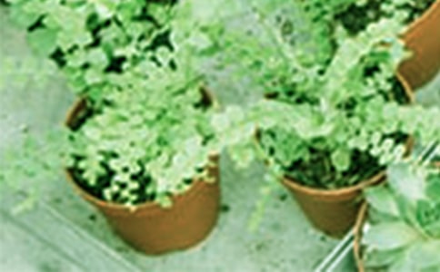 �ؼ�3�����Լ��ȷ���