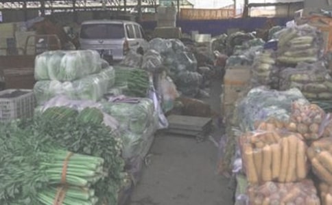 多宝鱼苗批发合同