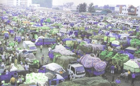 ��װ������ȹ����ܽ�