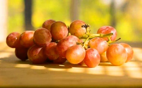 �������Ѳ�ҵ��չ����ĵ��б���