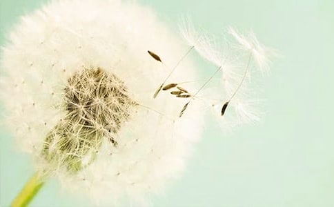 ���ѹ�Ӣ���̰�(15ƪ)