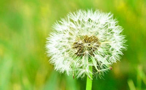 ���ѹ�Ӣ�����ӡ��̰�