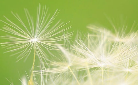 ���꼶���Ľ̰��� �ѹ�Ӣ