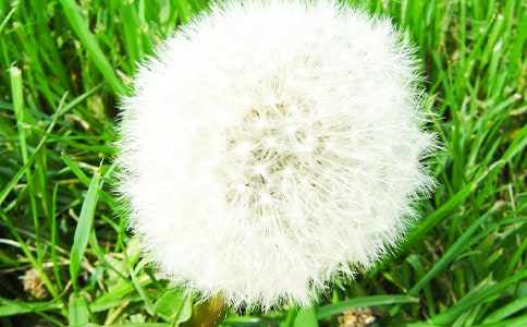 �ѹ�Ӣ�����ӽ̰�