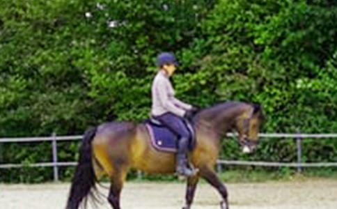 骑马舞比赛评分标准