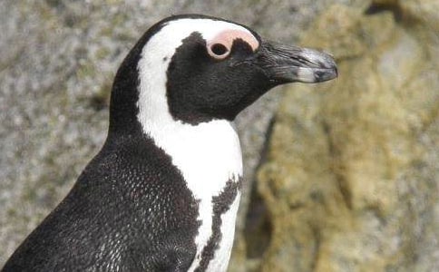 �а��������С��졷��ѧ��˼