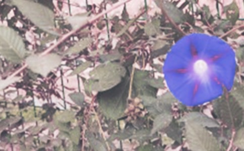 ��������ǣţ�����̰�