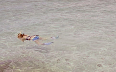 租用潜水船合同9篇