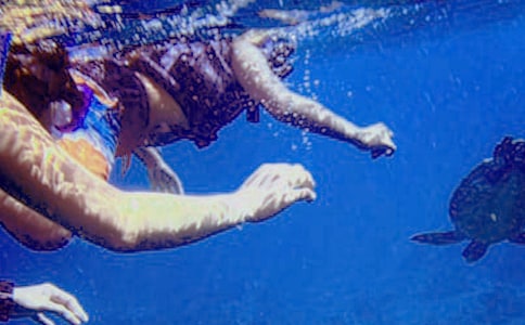 ����Ǳˮ���ĺ�ͬ����