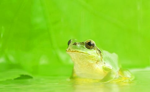 С�����Խ̰���С���������¡�(���15ƪ)