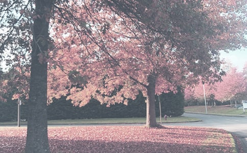 �＾��߻���