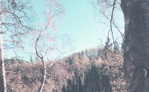 �＾��߻��鷽��