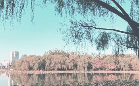 秋季活动主题什么样的好