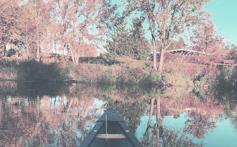 �＾�����