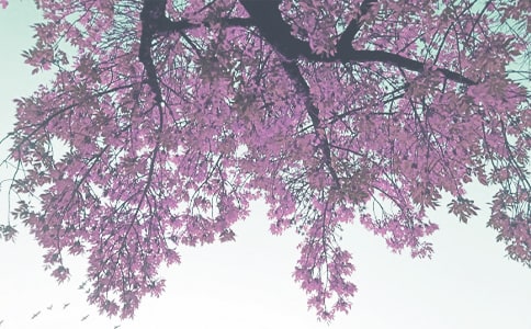 �＾���ӻ���뺯