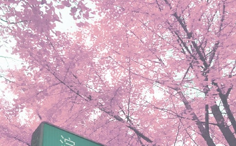 秋季多发病的预防常识