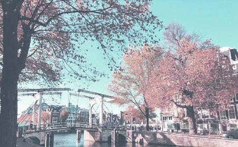 秋季活动主题有哪些