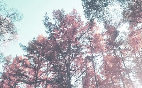 2022�＾��ѧ�����(5ƪ)