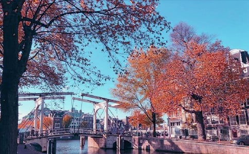 �����յ��⹫̨����Զ����ԭ�ļ�����