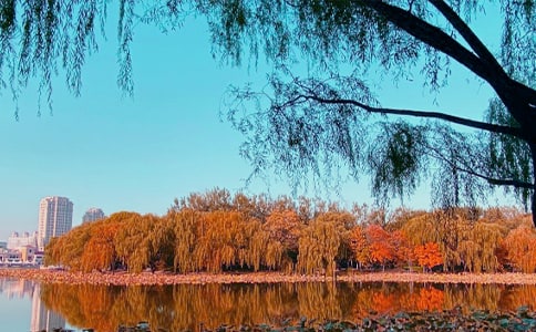 秋日原文及赏析14篇