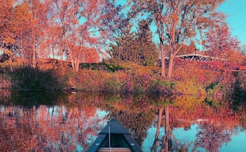 秋日湖上原文及赏析