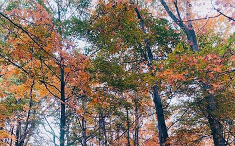 �����С����ջ���ԭ�ļ�����