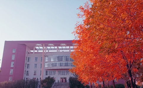 ����³��Ң��ͤ�����Ų��ڷ�����ԭ�ļ�����