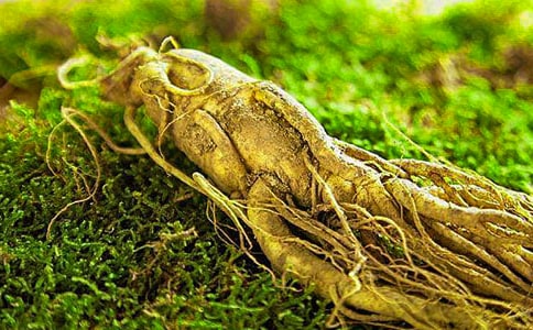 �˲����̼۸��ͼƬ