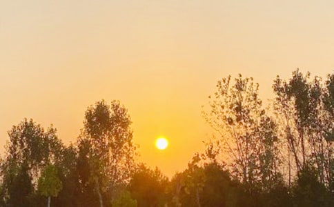 �̰������ճ�