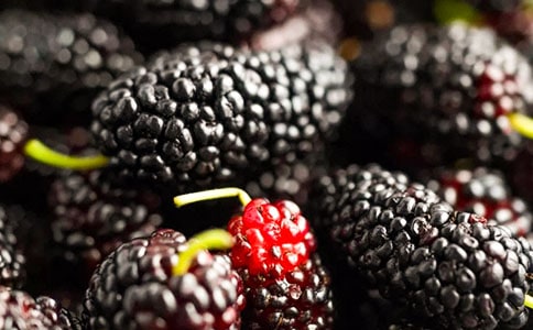 ɣ�ؽڻ����