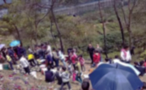 ��ʿ��԰ɨĹ�����