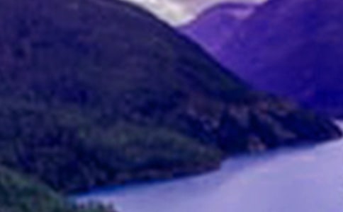 ���ɴ�ɽˮԭ�ġ�����ע�ͼ�����