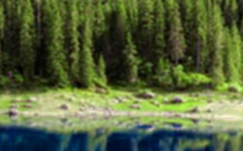 客厅其中的山水画有何常识的吗