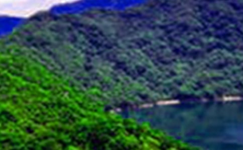 ���ɴ�ɽˮԭ�ļ�����