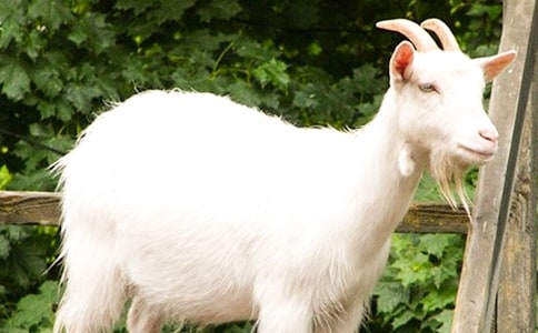 ɽ���̵Ŀ�������Ӫ����ֵ