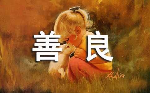 ������¼����50�侫ѡ