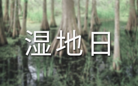 世界湿地日活动方案7篇