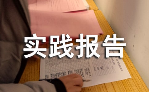 【精选】法学社会实践报告